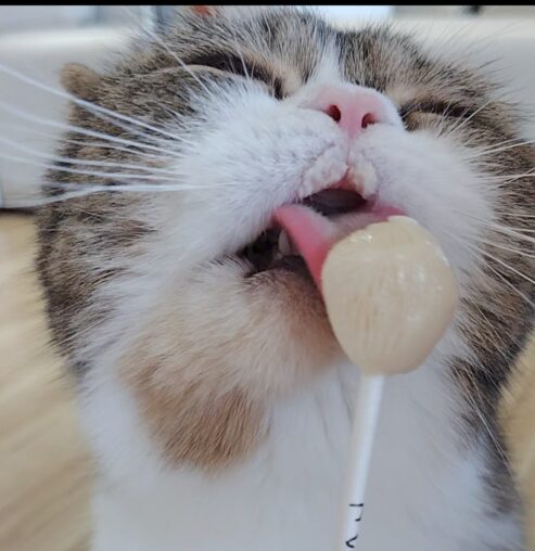 新学期　クラス替え